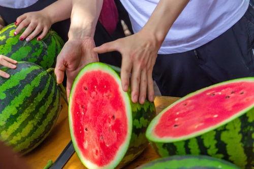 今日吃瓜网,揭秘娱乐圈最新热点事件，带你领略明星幕后故事