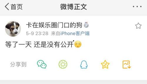 爆炸瓜视频 今日吃瓜爆料全集,爆炸瓜视频全集深度解析